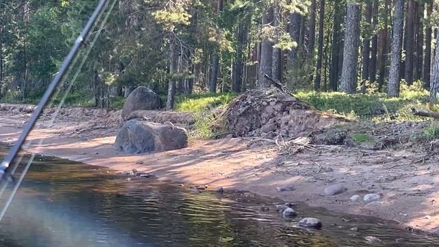 Рыбалка в Карелии 2024 часть 3/Наловили рыбы смотреть онлайн