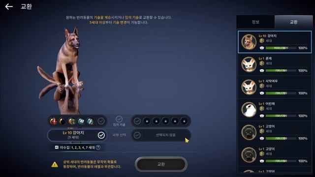 НОВЫЕ Красные Питомцы l Чем они лучше обычных? [Black Desert Mobile] смотреть онлайн