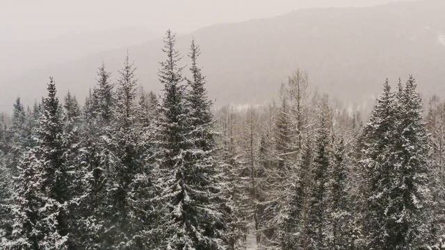 ТОП 5 природных МЕСТ КРАСНОДАРСКОГО КРАЯ. Большой выпуск Travel TOPing👍