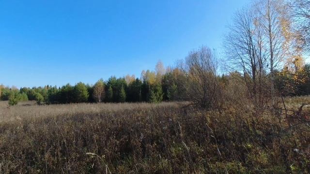 Тихая охота в октябре (из домашнего архива) смотреть онлайн