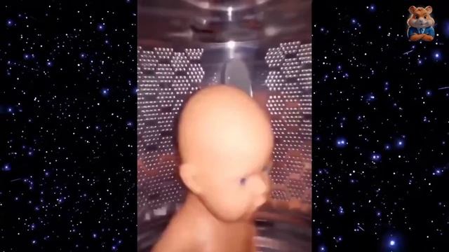 Я РЖАЛ ДО СЛЕЗ😂 15 Минут ОТБОРНЫХ ПРИКОЛОВ 2024 Смешные видео - Лучшие ПРИКОЛЫ #27