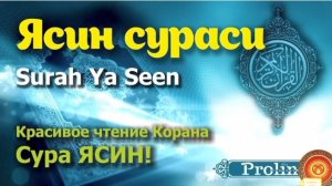 ЯСИН💥