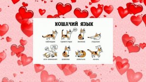 Дайте мне переводчицу