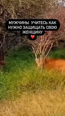 Мужик