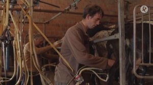 Para un buen ordeño, las teteras de las cabras deben ordeñar a 120 pulsaciones | El campo es vida