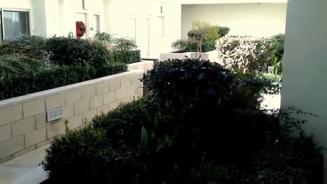 Простая Америка Дети на улицах LA Лос-Анджелес смотреть онлайн