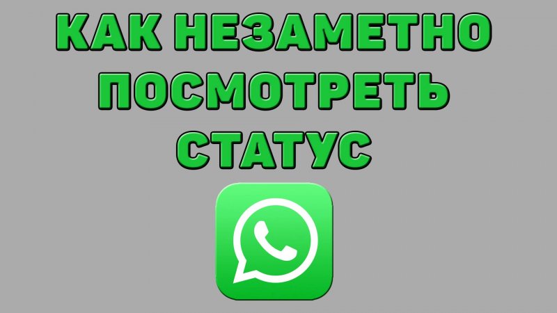 Как незаметно посмотреть статус в Ватсапе