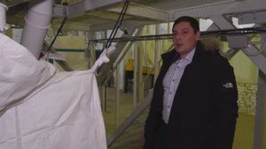 Семенная линия Сапсан: сортировка люцерны