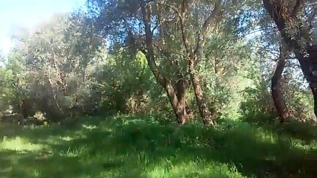 Рибалка днестр троицкое смотреть онлайн