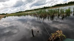 БЕШЕНЫЙ КЛЁВ ЩУКИ В ДИКОМ БОЛОТЕ!