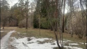 Как перестать жить чужой жизнью и вернуть себя