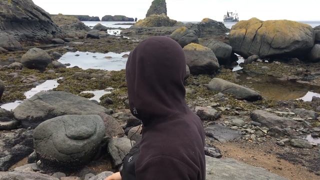 Кофта El Capitano от Сплав. Проект Чистота смотреть онлайн