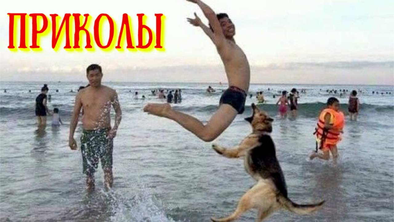 СМЕШНЫЕ ВИДЕОПРИКОЛЫ.Приколы с животными и людьми.ПОДБОРКА КОРОТКИХ СМЕШНЫХ ВИДЕО ПРИКОЛОВ С ЛЮДЬМИ