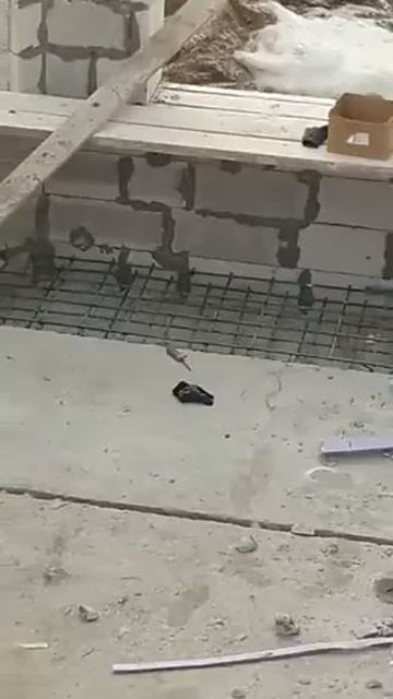 Армопояс перед заливкой смотреть онлайн