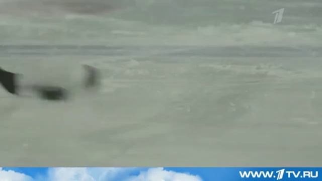 Универсиада смотреть онлайн