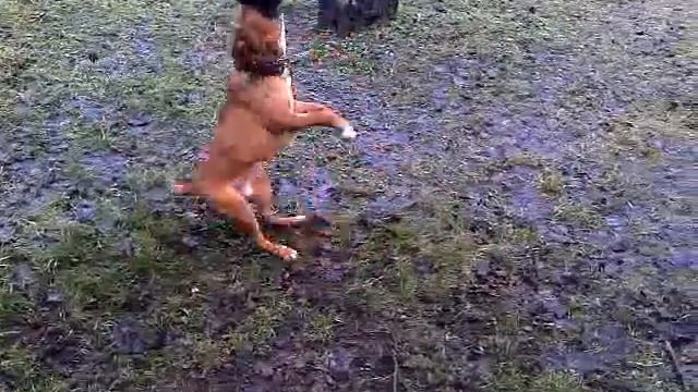 Скиф на колесе.m4v смотреть онлайн