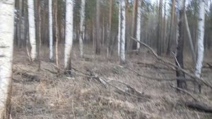 экспедиция за новым поиском золота!!!