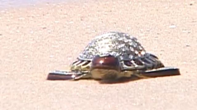 Приключение Русских во Вьетнаме смотреть онлайн