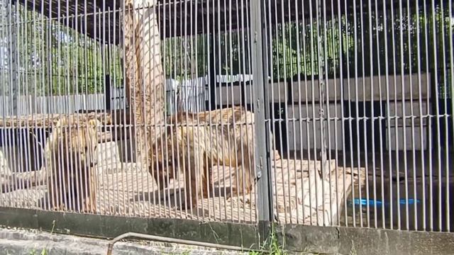 Культурный отдых.А Вы так отдыхаете?! смотреть онлайн