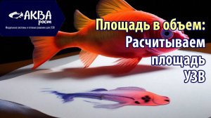 Как посчитать объем УЗВ исходя из площади помещения  #узв #рыба #акварост