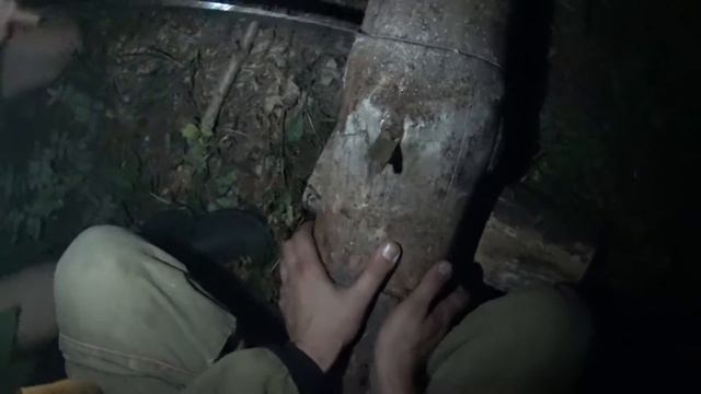 Ночевка в лесу. Гамаки. смотреть онлайн