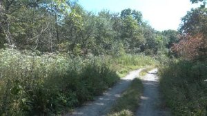 Sukhaya Rechka,   Сухая Речка,  Приморский край,  00020