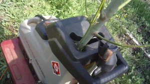 Измельчение длинной ветки с гравитационной подачей