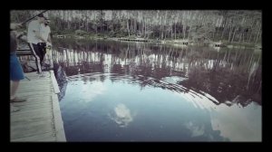 Толстолоб на спиннинг Graphiteleader Vivo nuovo 792 5-22g. shimano twin power 20 C3000