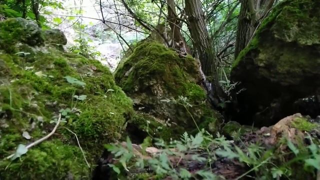 Приднестровье красивые места природы👍👍👍😍 смотреть онлайн