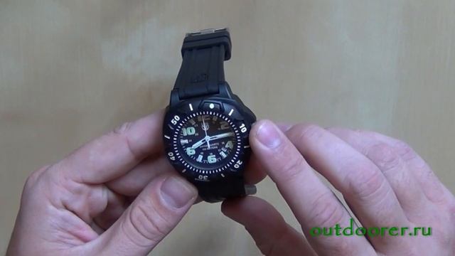 Наручные часы Luminox Sentry 0201.SL