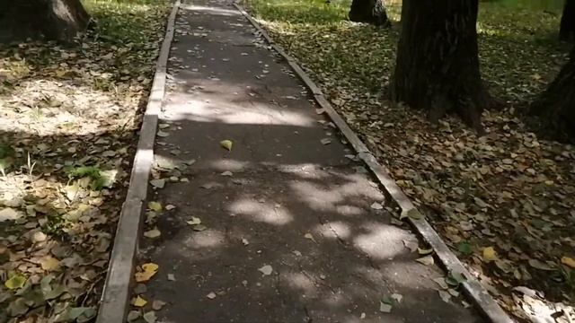 VLOG поехали в турбазу «Ивушка» . // О турбазе «Ивушка» смотреть онлайн