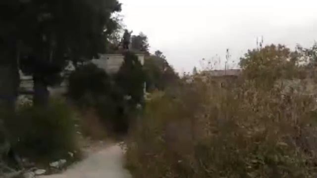 Авиньон смотреть онлайн