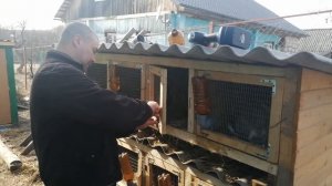 Поилки для кроликов своими руками