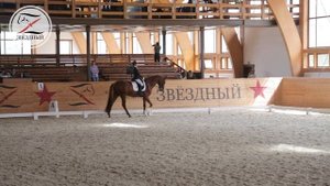 Алена Серикова на Тилубее. Выездка. Предварительный приз Юноши - 65.556% 1 место