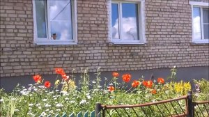 Зольное 3 июнь 2017