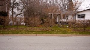 Car Crash Effects Breakdown