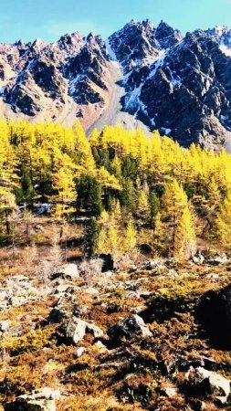 Горный Алтай I Куехтанарские озера