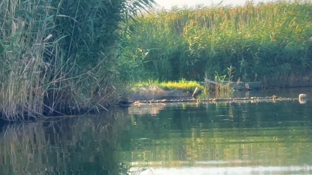 Таганрог. Миусский Лиман.