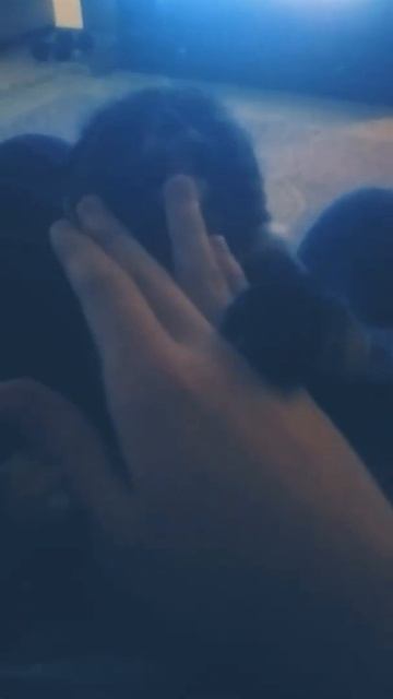 поднял сквад будто перила💗 смотреть онлайн