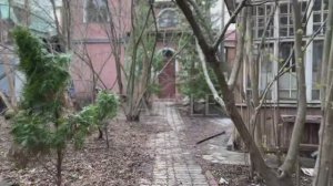 Домик в Сестрорецке