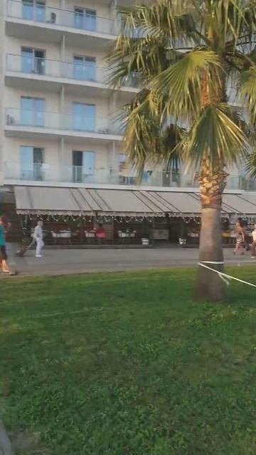 Сочи парк отель смотреть онлайн