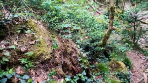 Мезмай. Прогулка к водопаду Исиченко.