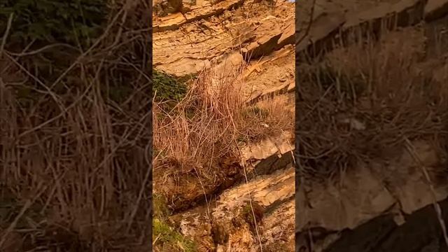 Апрельский закат на Черном море.