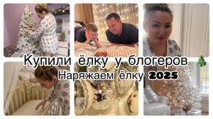 VLOG: КУПИЛИ ЁЛКУ У БЛОГЕРОВПОДГОТОВКА к НОВОМУ ГОДУ2025 #миливанили #ванильнаясемья #декор