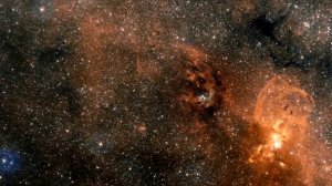 005 Grace Williams- Oxygen