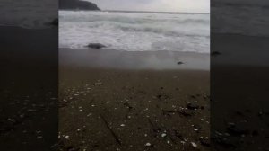 Бухта Песчаная Приморский край