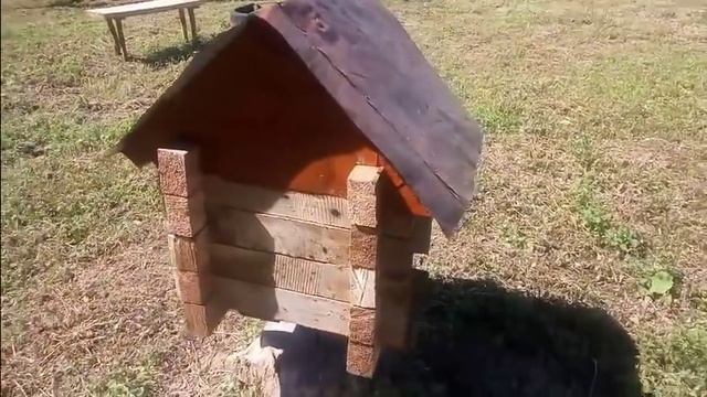 Екскурсия по нашим владением смотреть онлайн