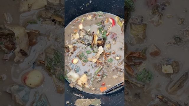 Моя барматуха на дачке.