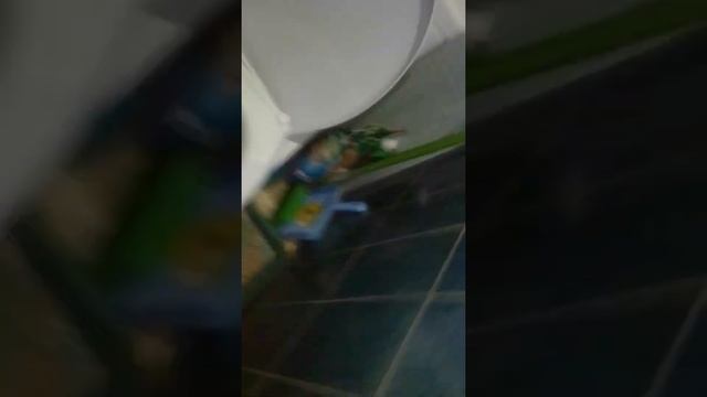 я переехал в САМАРУ!!!!!!!! смотреть онлайн