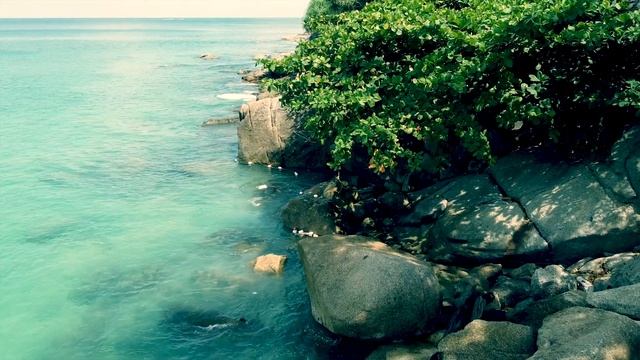 КАТА НОЙ смотреть онлайн